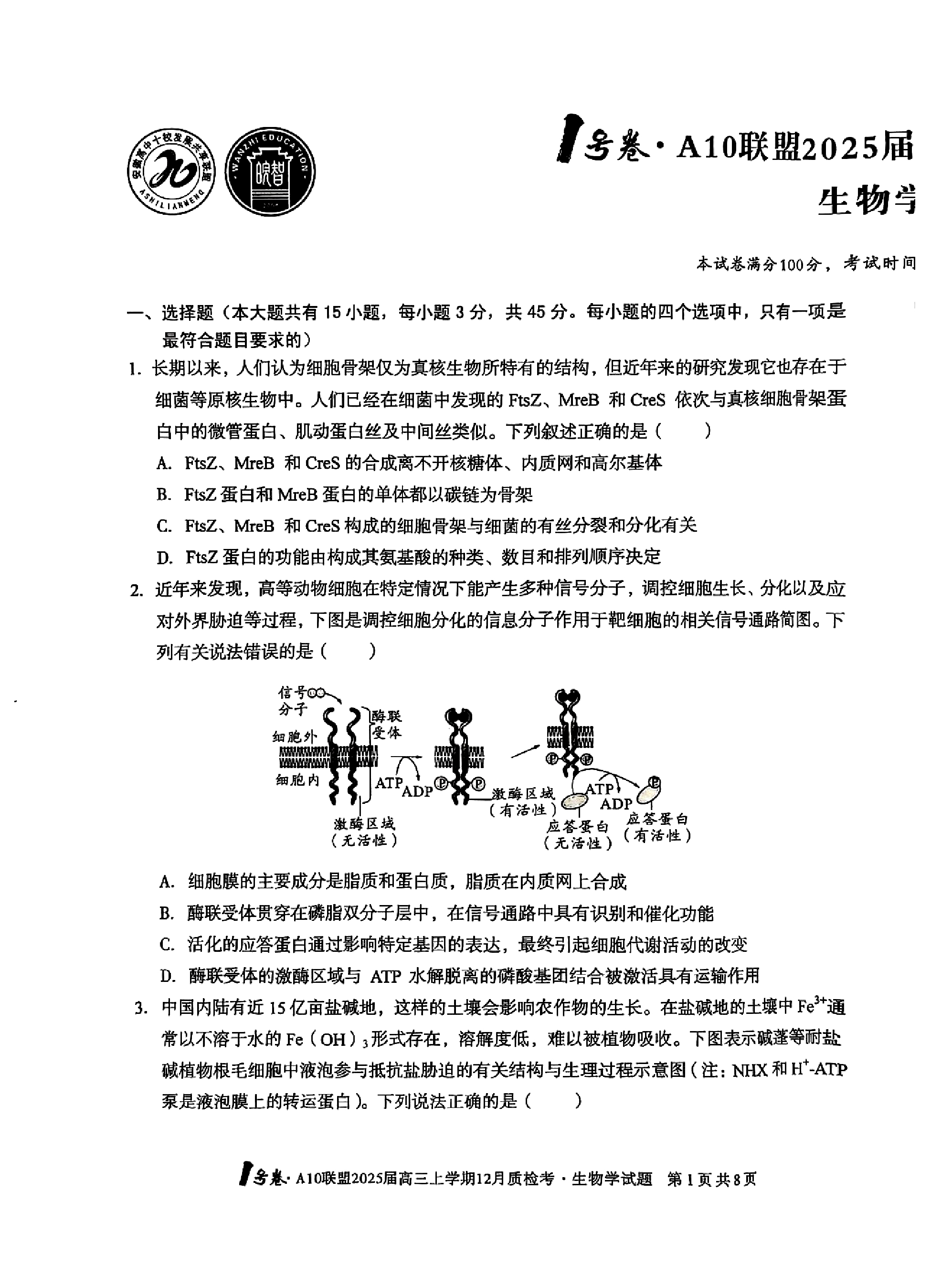 安徽省A10联盟2025届高三12月联考生物试题和答案